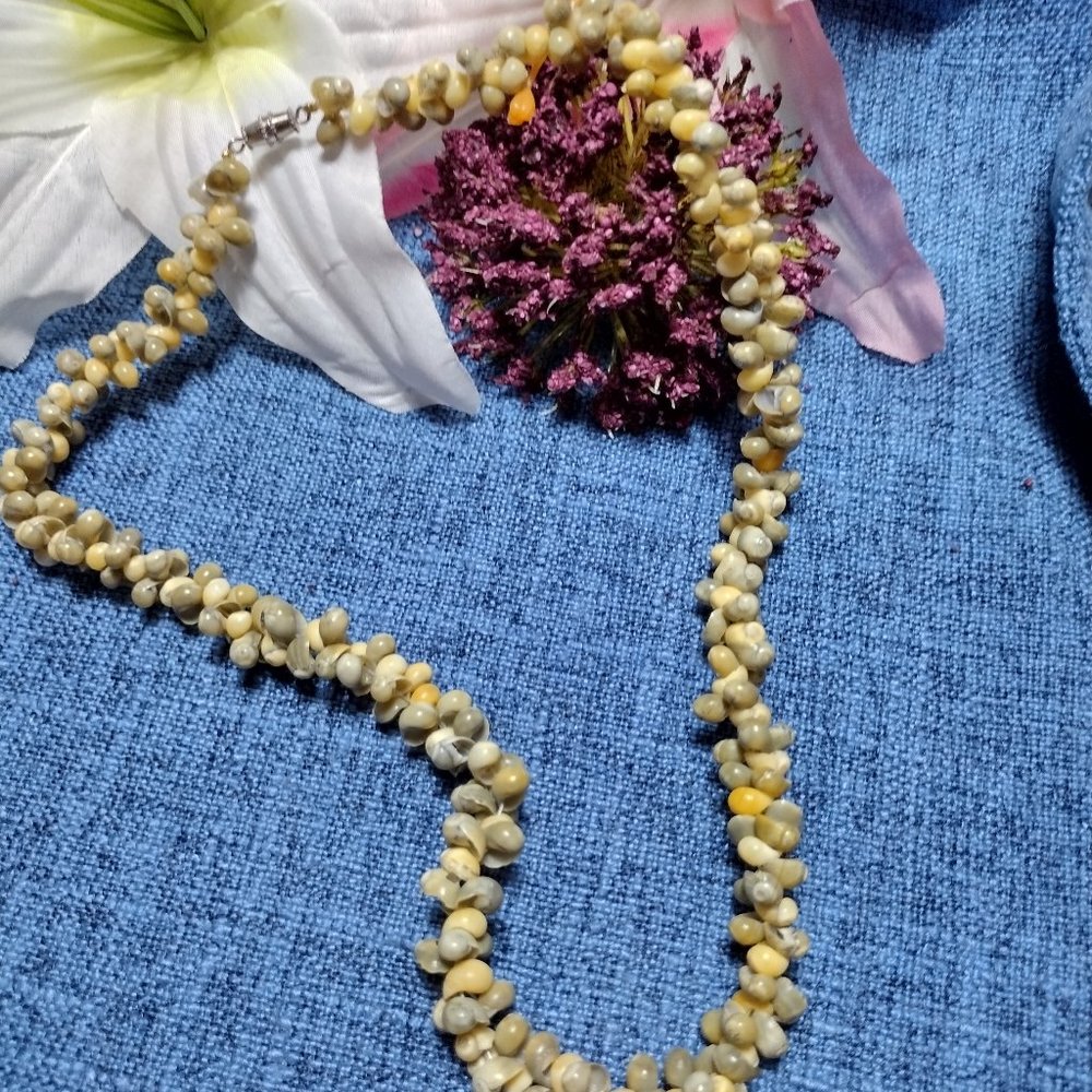 Single Strand Shell Necklace - Picture 5 of 5